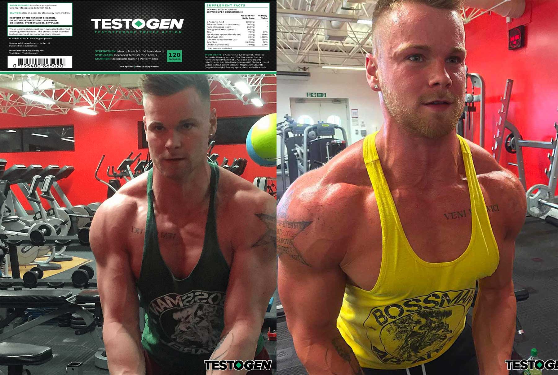 testogen results